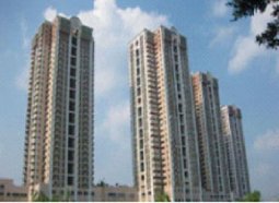 宁夏金泰隆房地产开发有限公司