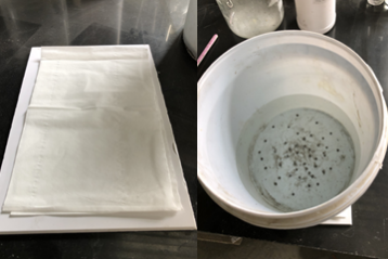 1611042974637010.png image.png